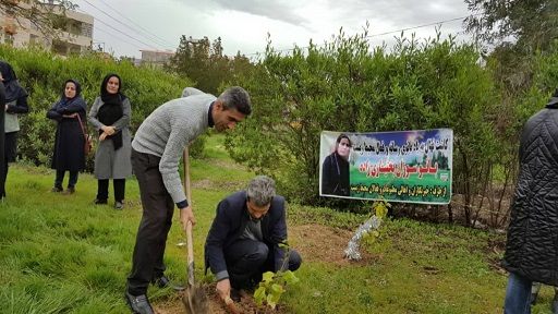 15-    در مسجد سلیمان به یاد بانوی فقید خبرنگار نهال کاشته شد